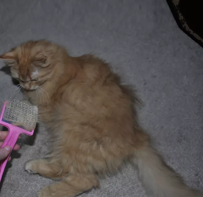 Yulia Galitsina has done the same thing!