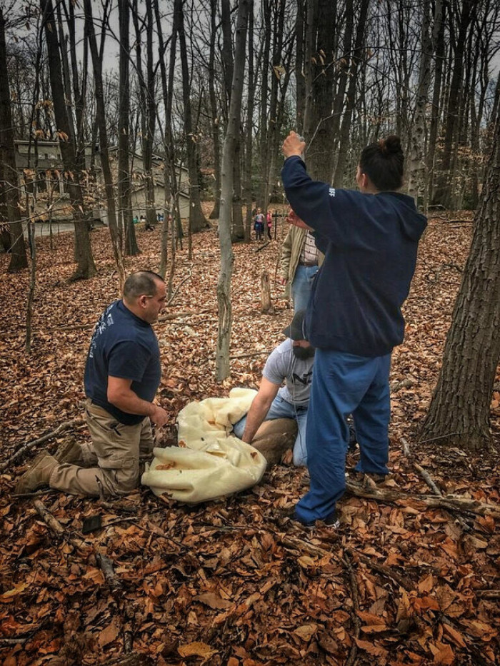 Odd Looking Deer Is Rescued After Days With No Food Or Water