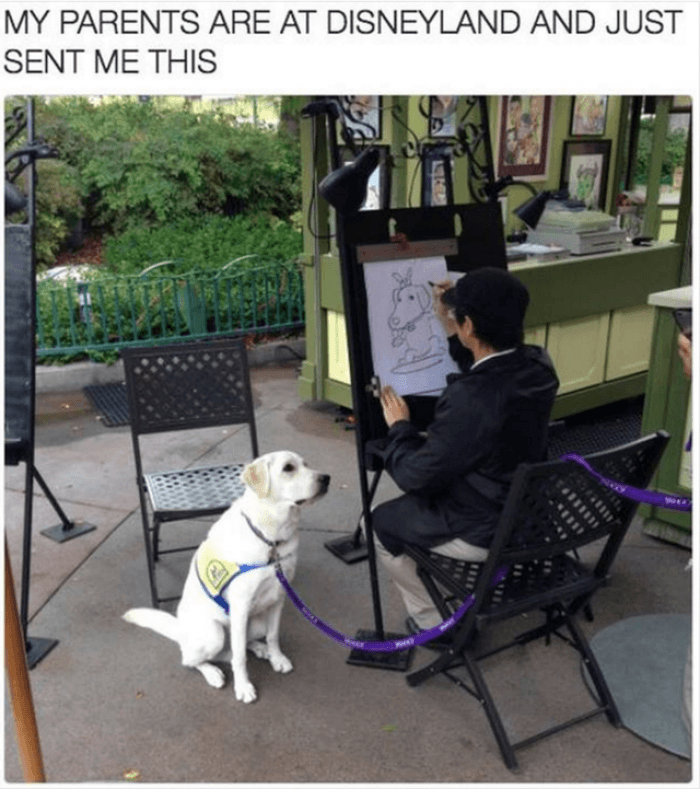 They simply love getting a painting of themselves