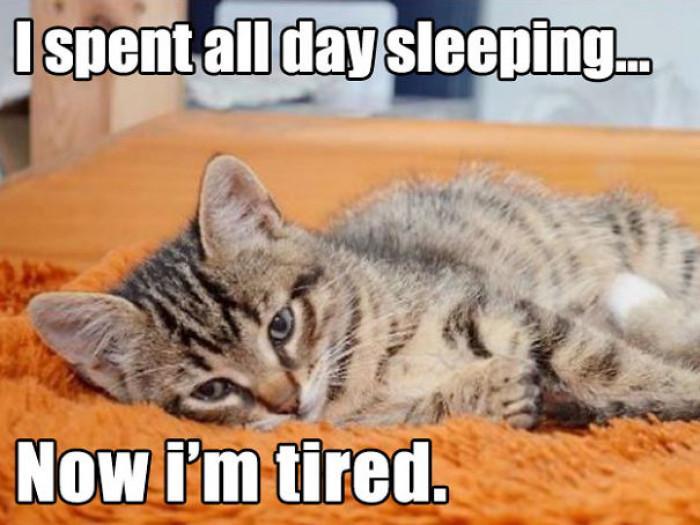 Oh no, now how will you sleep at 3 a.m.? Never mind, YOU WON'T.