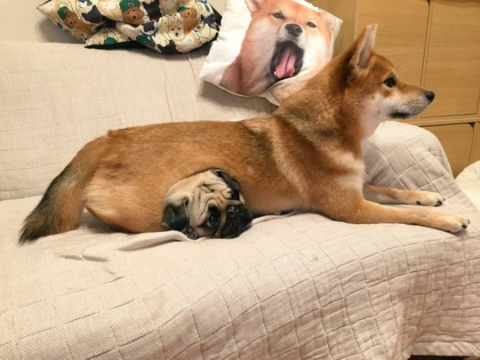 Protected or Prisoner? You Decide.