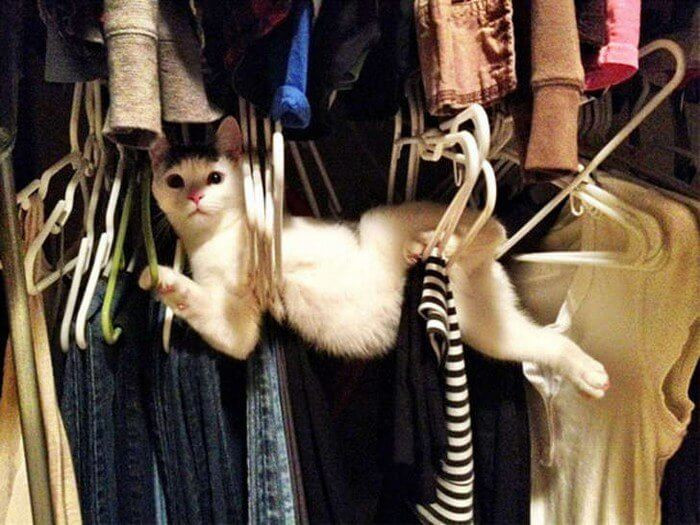 16. The owner was just looking for clothes for her date.