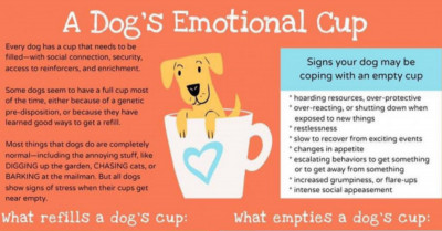 26 Dog Guide Charts Are A Great Help For Present And Potential Dog Owners