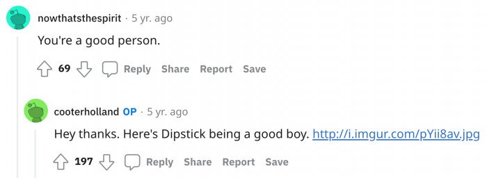 More Dipstick!