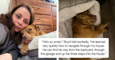 Blind Rescue Dog's Excitement On Getting His Own Bed After 8 Years Of Chained Imprisonment Is Precious