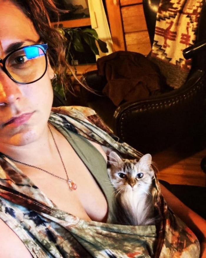 7. This cat's new snuggle spot... if it fits, it sits.