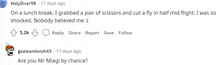 11. Cut a fly in half mid-flight during lunch break