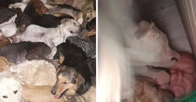 This Man and His Mother Started a Shelter More Than Two Decades Ago, and Now He’s Caring for Thousands of Dogs