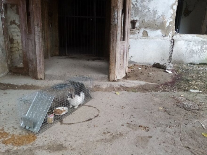 2. Purchasing food is a critical area that requires the most assistance