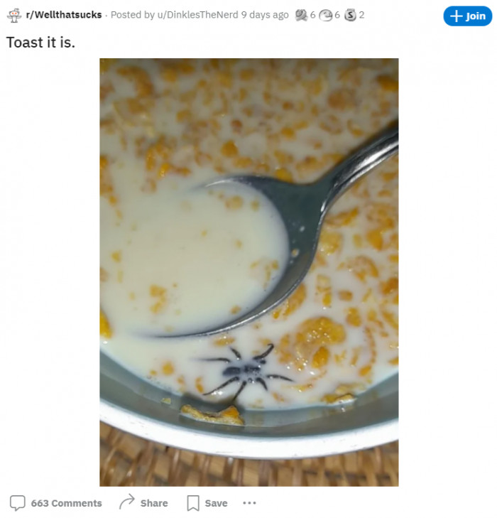 6. That's a waste of cereal.