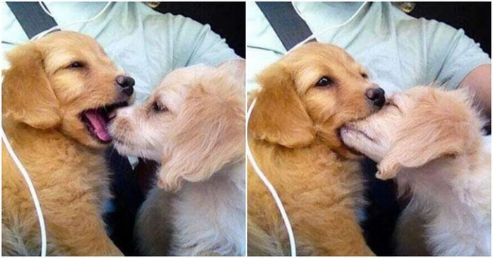 24. Someone just had their first kiss