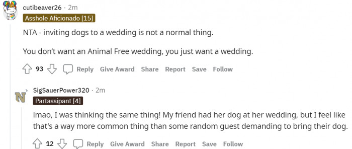 #7 It's normal not to have dogs at a wedding.