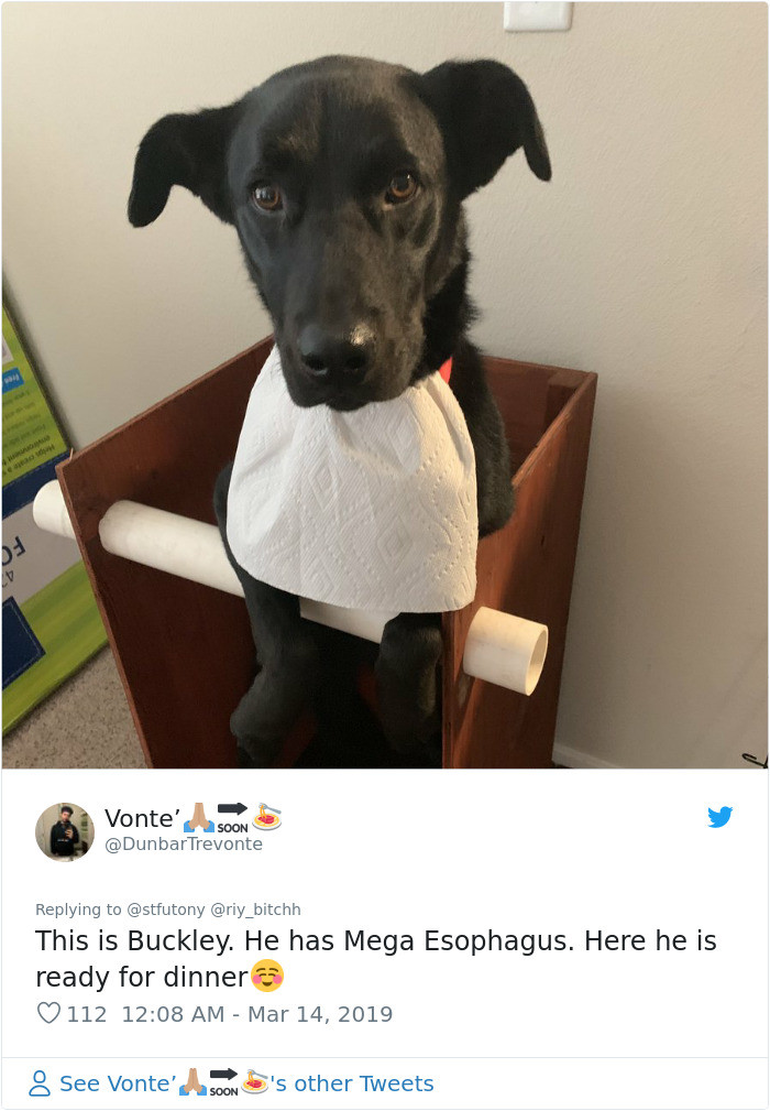 The internet responded by posting some pictures of their own doggos suffering from the disease.