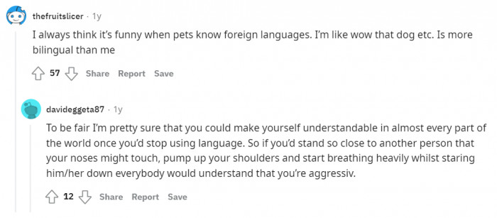 Then there are users who envy cats' language skills.