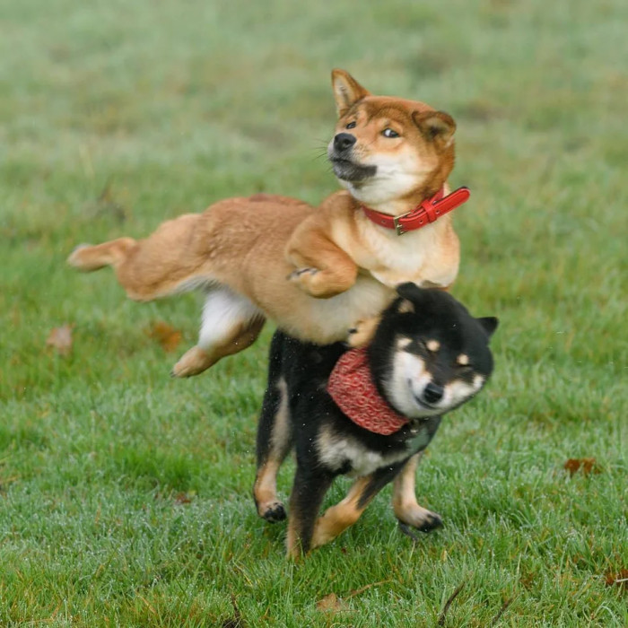 12. And at this moment, you can see what regret looks like