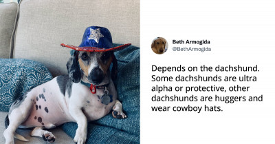 31 Hilarious And Accurate Tweets About How It Feels To Own A Dachshund