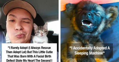 Heartwarming Rescue Pet Photos That Show Why It's So Important to Give an Animal Another Chance