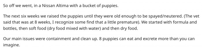 But they took 8 puppies home.
