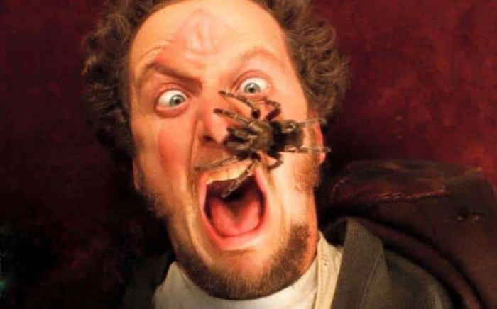 2. Buzz's pet tarantula was real in the first 'Home Alone' (1990) movie