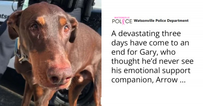 Man Starts Crying When Cop Reunites Him With His Missing Dog