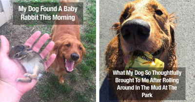 50 People Share The Most Unusual Gifts Their Pets Gave Them