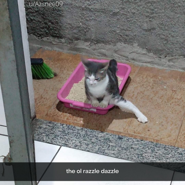 38. Instead of Jazz Hands, it's, uh, piss paws? I don't know.