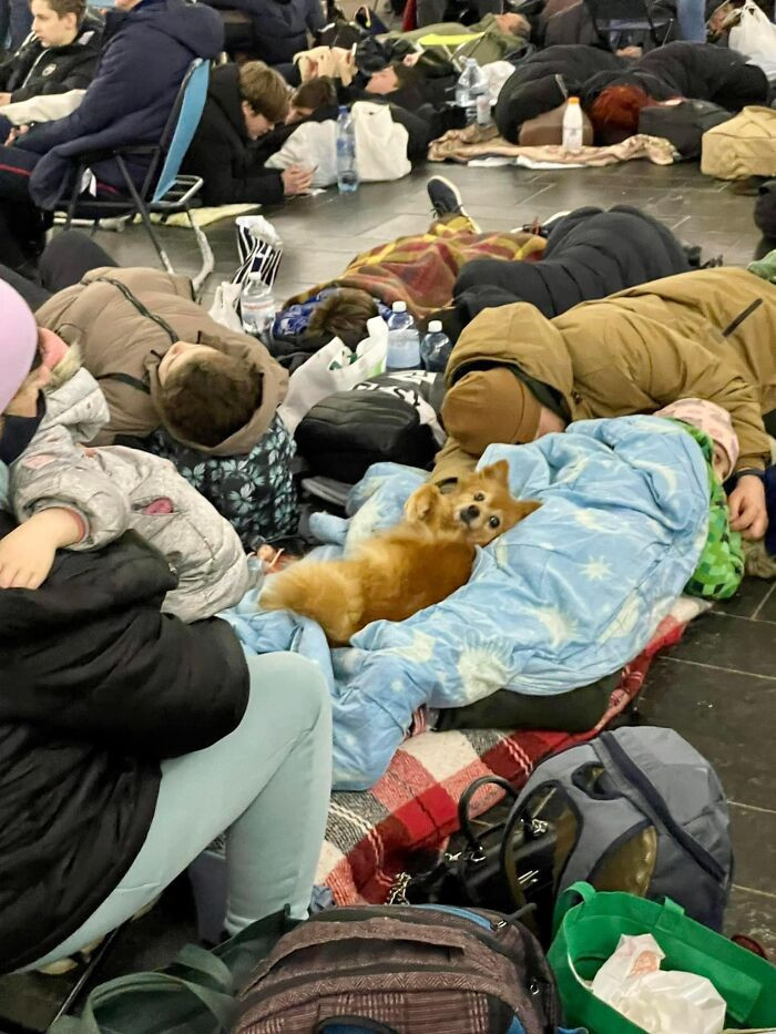 #15 There's a cute little one blending in