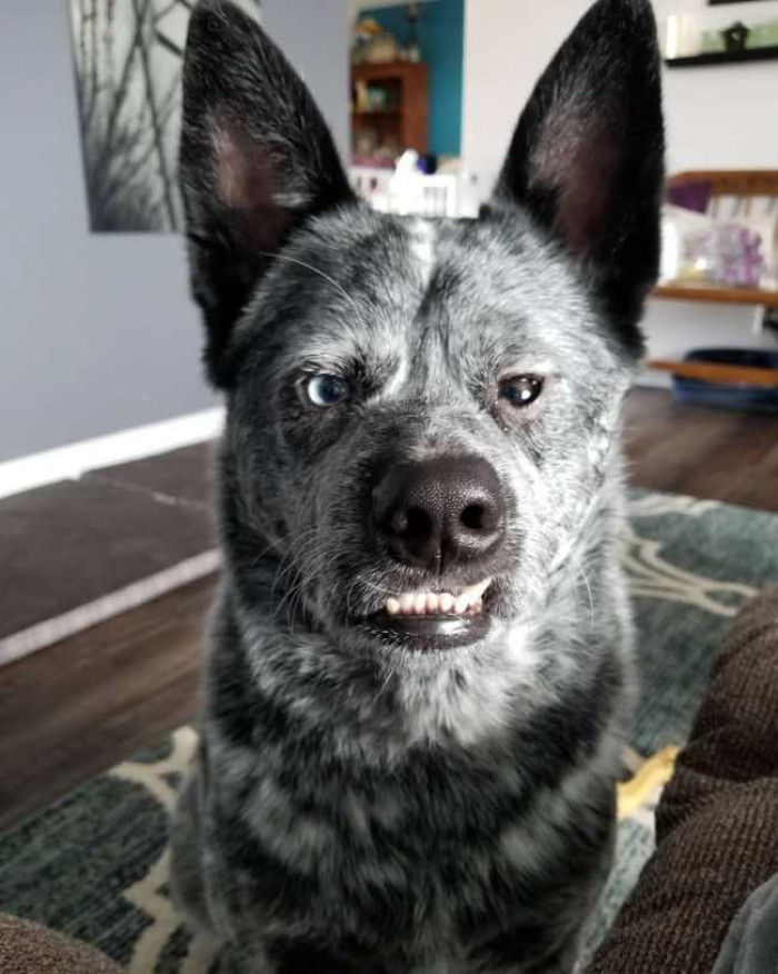 This is a photo of a snort.