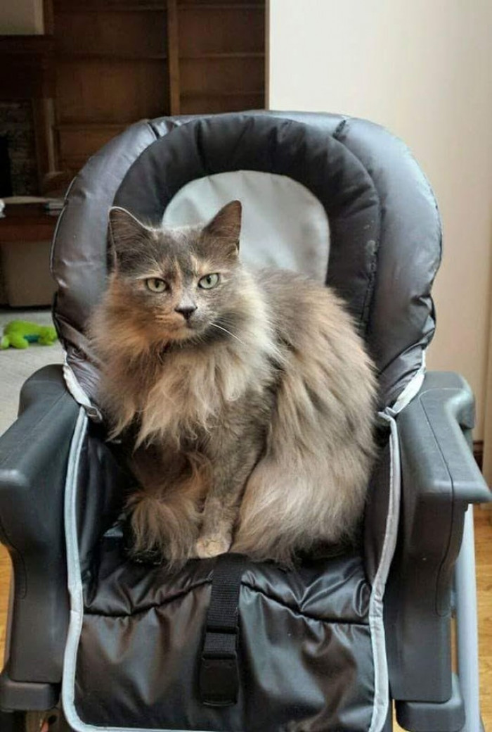 15. "Look, I'm a baby hooman! Feed me!"