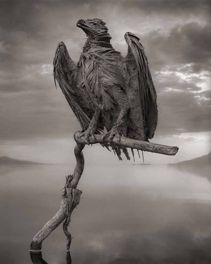 Close view of salt sculptures resembling birds, formed by mineral deposits