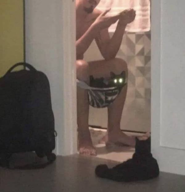 8. Very weird place to hang out, even for a cat.