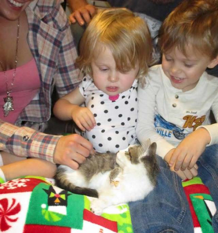If cat body language is anything to go by, I’d say the little girl is in the danger zone right now.