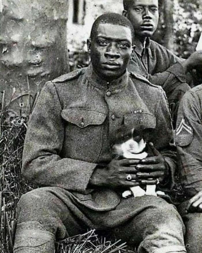 39. A Puppy Saved And Held By A Member Of The Harlem Hellfighters During World War I In 1918