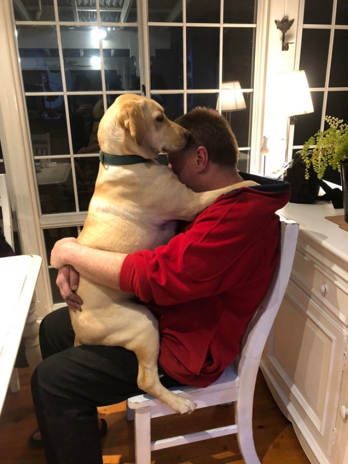 7. "Dad didn’t want a dog. Dad and the dog:"