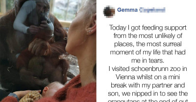Breastfeeding Mama Goes Viral Online After Encounter While Nursing Near Orangutan At A Zoo