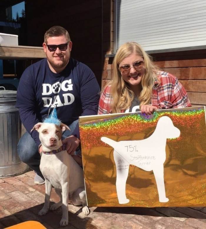 1. These awesome dog owners threw a "breed reveal party" for their pup after the DNA results came back