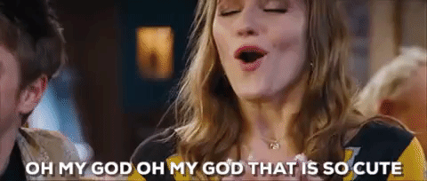 Small pupper standing on a couch or chair, confident stance, smiling owner