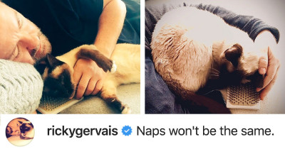 Ricky Gervais Shared the Sad News of His Beloved Cat Ollie’s Death, and It Is Heartbreaking