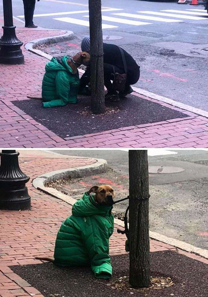 14. Her dog had to wait for her outside in cold weather.