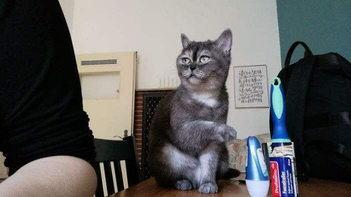 “Taking her in was the best thing to happen to me”