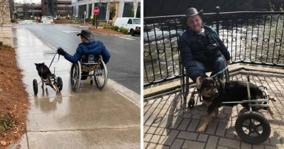 Dog With Special Needs Is Finally Adopted By His Perfect Human After Being Returned To The Shelter Four Times