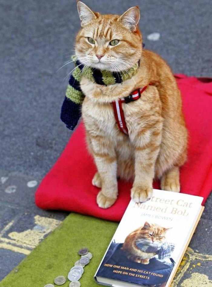 Looking very sassy in his scarf