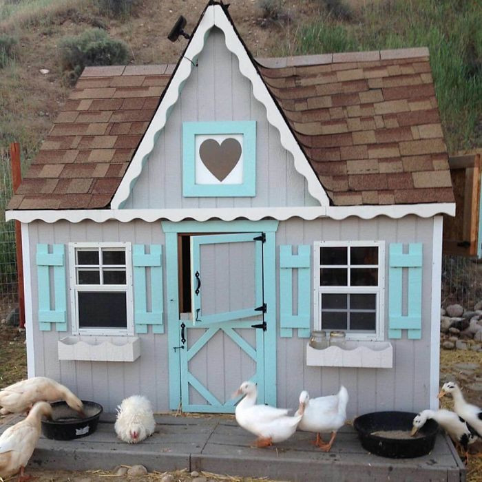 30 Photos Of Extremely Creative Chicken Coops 