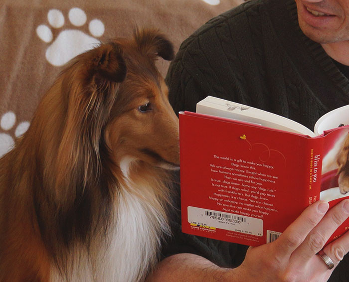Reading is this dog's thing.