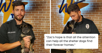 Animal Shelter Posts Adoption Ad On Facebook Only For Their Handsome Employee To Get More Attention Than The Pup