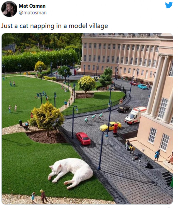 13. This cat's reign of terror over a model village is on pause while he naps