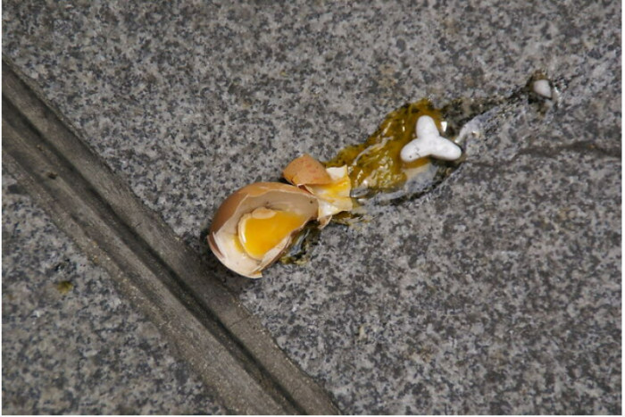 11. If you don't want your kids to break all the eggs and cover themselves in peanut butter then do not leave them unattended!