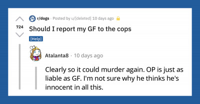 Guy Contemplates Whether He Should Report His Girlfriend to the Cops After Her Dog Bit Another Dog in Public