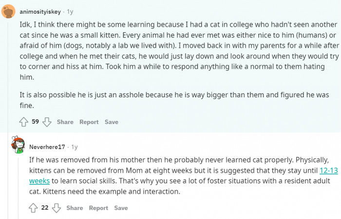 Some guess that there's a learning process involved.