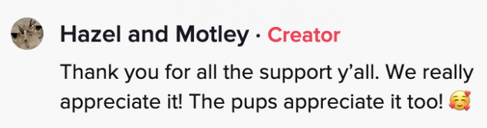 Hazel and Motley's humans posted on their behalf that they all appreciate the outpouring of love. The dynamic duo would address their adoring fans, but although they understand words, the two, unfortunately, don't have thumbs.